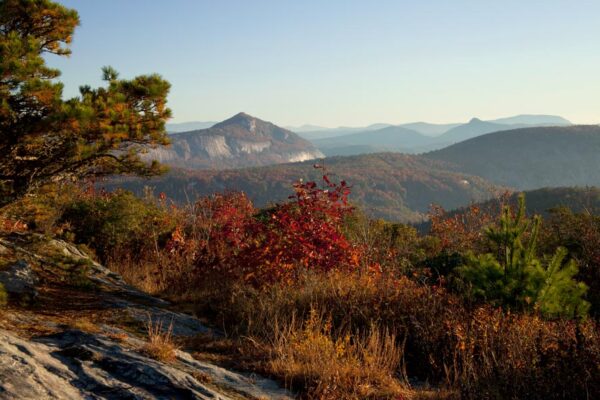 View of Whiteside Mountain from the summit of Satulah Mtn.